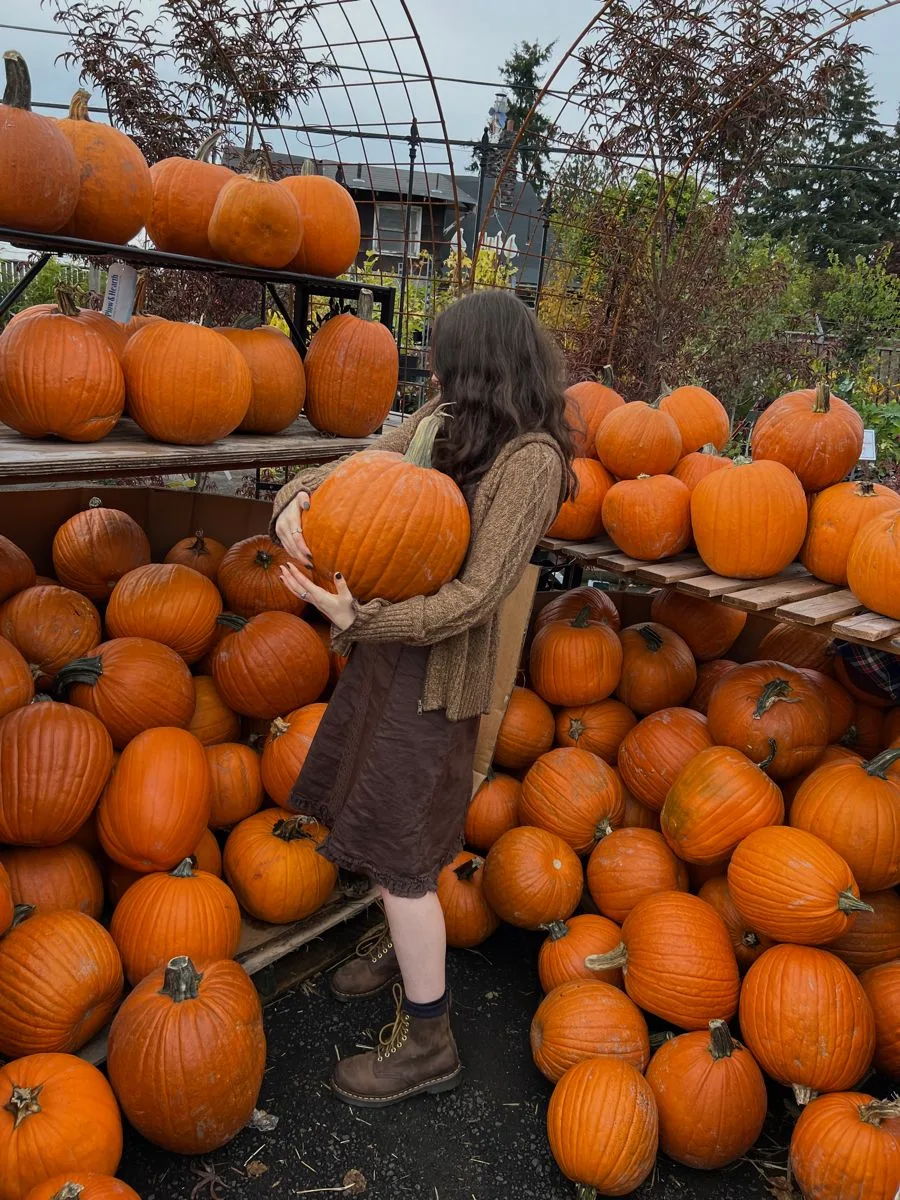 Pumpkin stand outfit: brown sweater and skirt picking pumpkins from the shelves