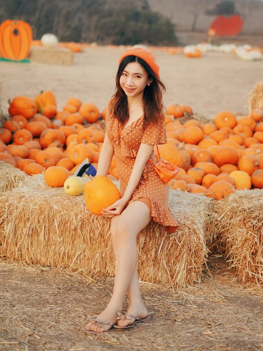Cute hot weather pumpkin patch outfit: orange floral mini dress sitting on hay