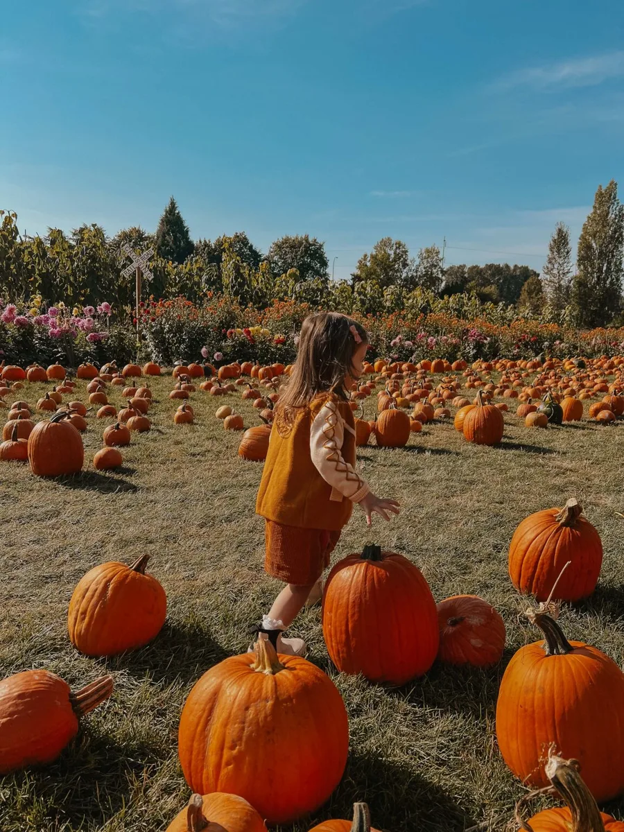 Hot weather pumpkin patch dress: rust sleeveless midi dress walking the rows