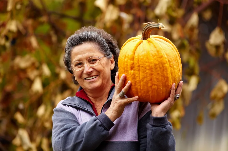 Older woman holding a pumpkin at the pumpkin patch