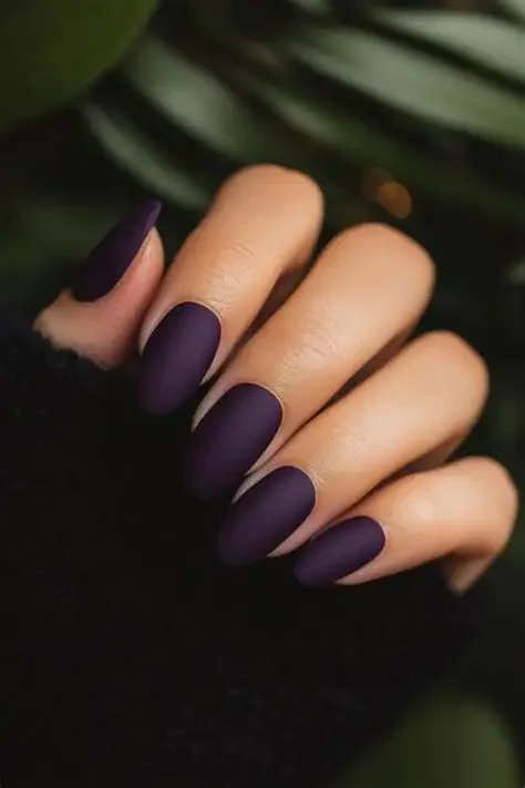 Plum fall nails: matte dark plum nails