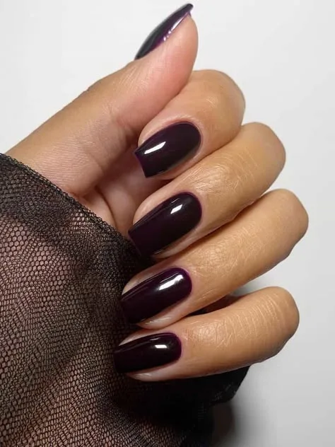 Plum fall nails: glossy dark plum nails with sheer sleeve