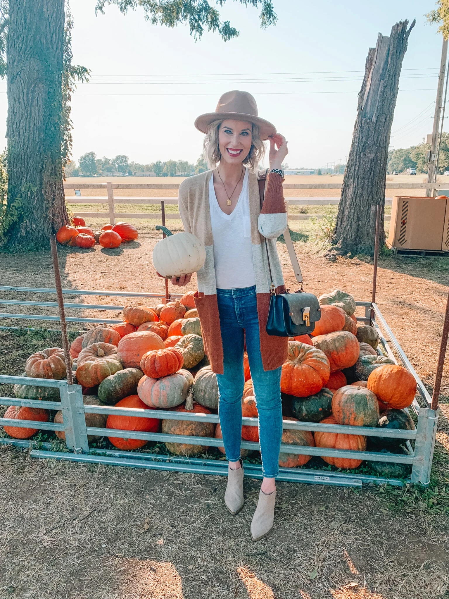 Plus size pumpkin patch outfit: colorblock cardigan with white tee and jeans