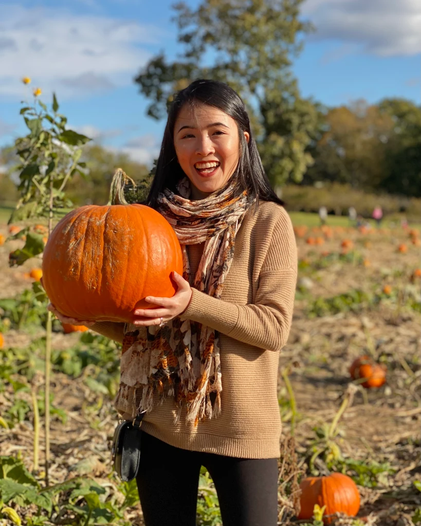 Plus size pumpkin patch outfit: tan sweater with printed scarf and black pants