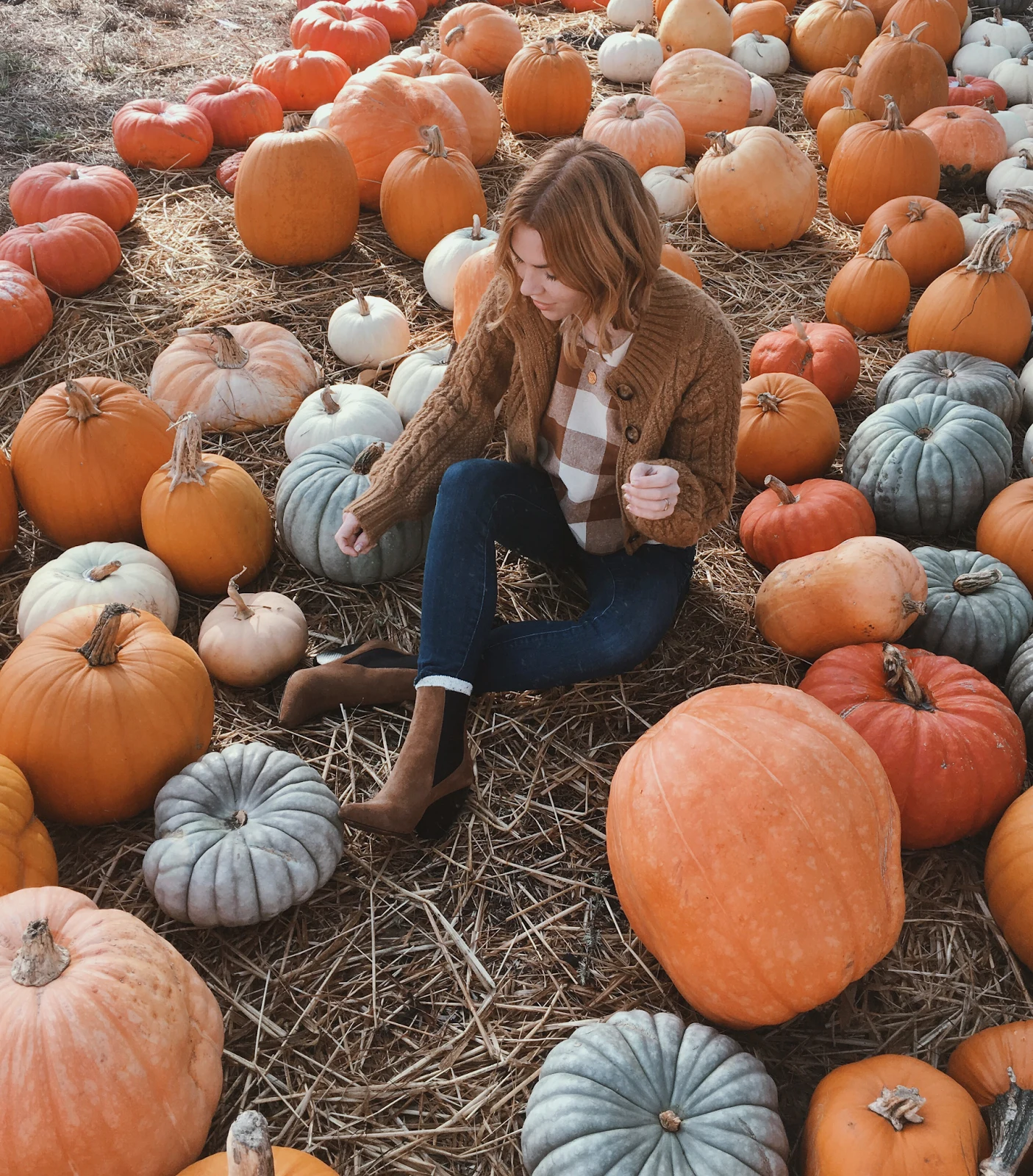 Plus size pumpkin patch outfit: cable cardigan with buffalo check shirt and booties