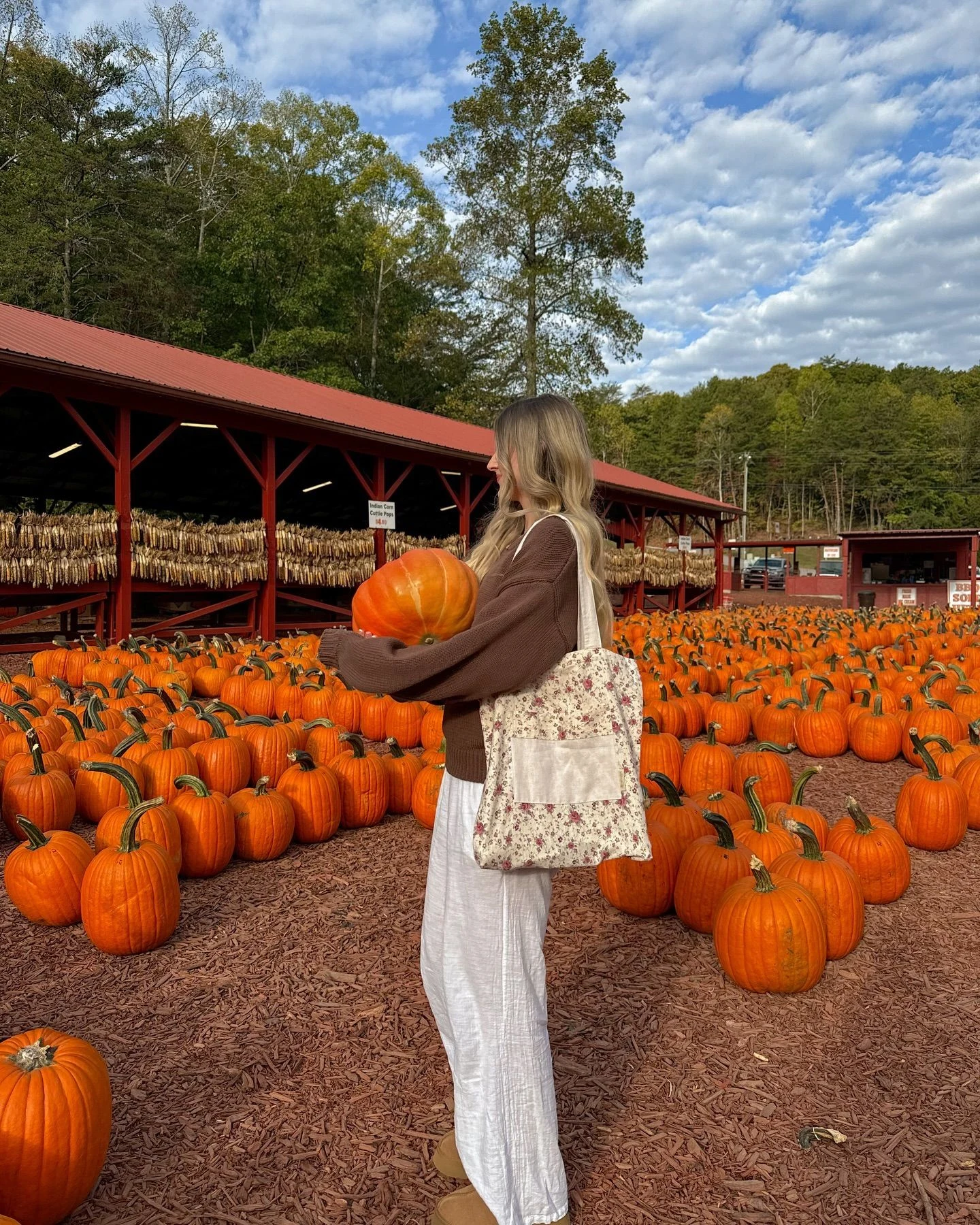 Fall pumpkin patch outfit: brown top with a flowy white maxi skirt holding a pumpkin