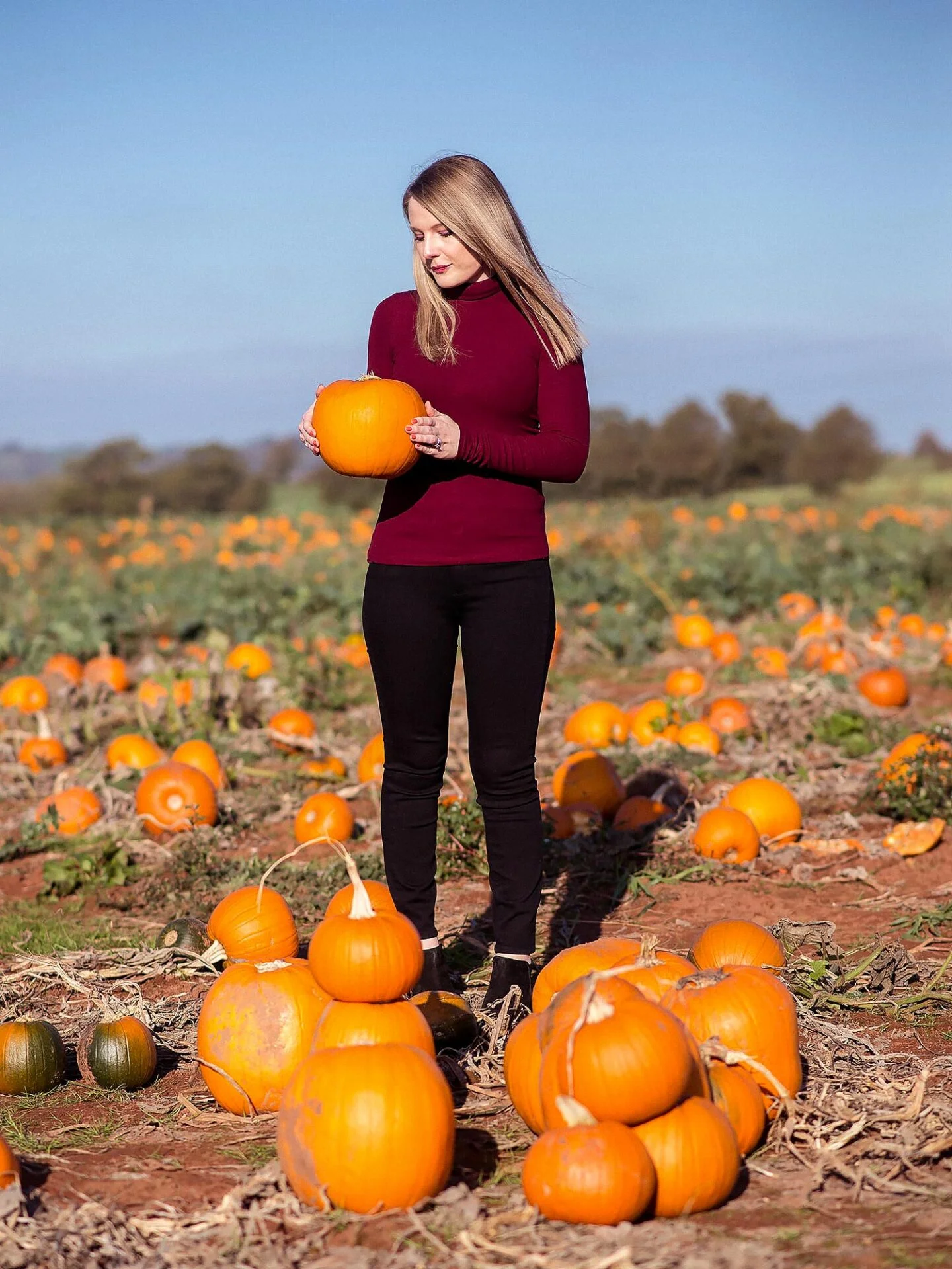 Woman in burgundy turtleneck and black jeans holding a pumpkin in a pumpkin field